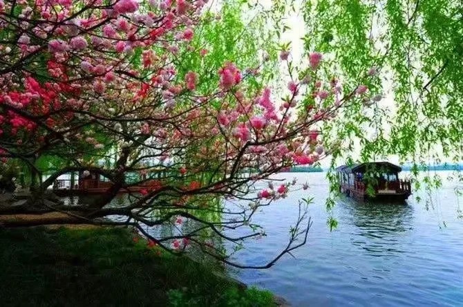 泄露了柳暗花明的秘密