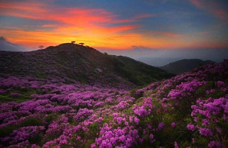 风流子(周邦彦体)夏游磨盘山 文/明月深秋(哈尔滨市双城区)