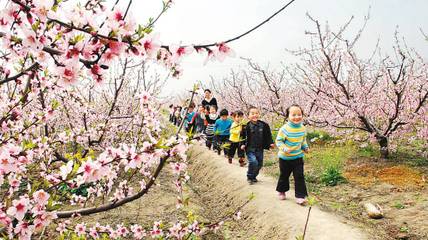 春天,戴着面纱去踏青 文/车建广