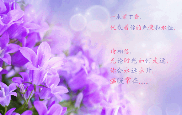 冯振绝句作法之三十七~四十六作业 文/汪建华