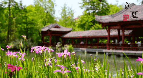 立夏 文/博大精深 精华