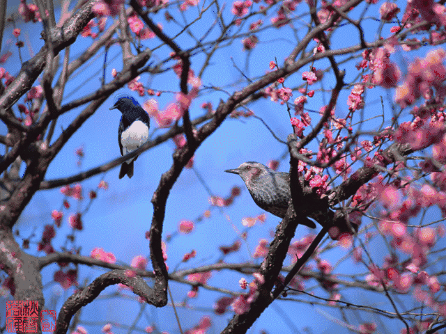 79a94936-0660-4dab-a8a6-c9140842d8de.