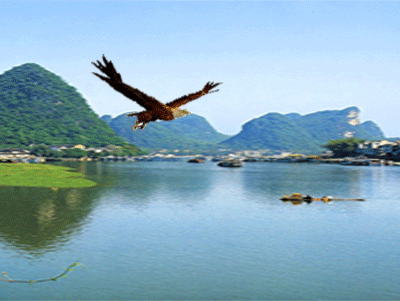 【寓言故事连播第(4)集·风筝和雄鹰的对话】作者:张佳铸Ⅱ主播:解本