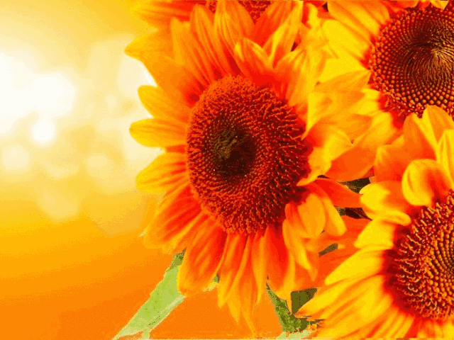 cbc99621c2524d5b8f70e03c0c575e2910-10-45-.