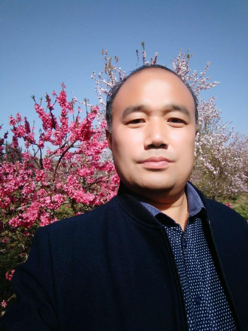游毕节百里杜鹃 文‖陈朝峰