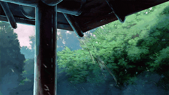 夏雨 文/一花一世界