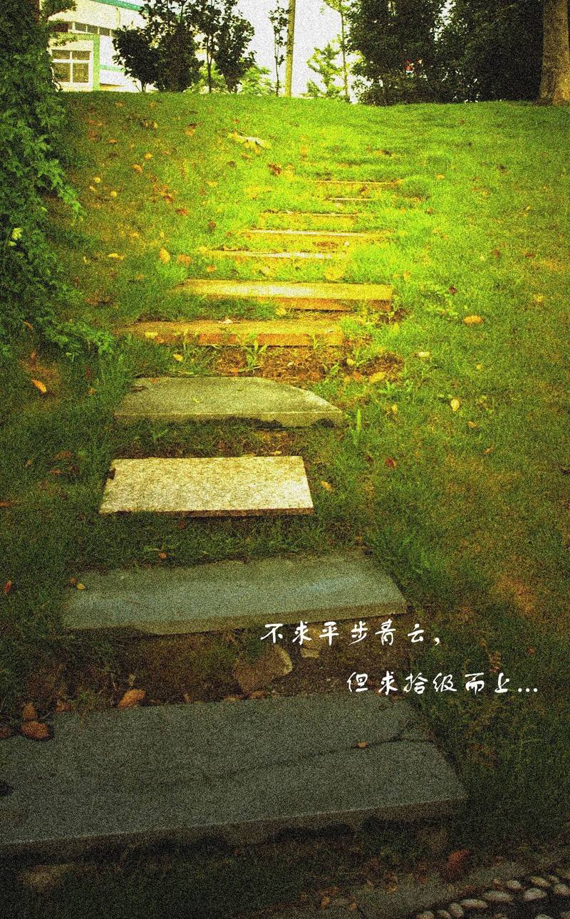 南阳盆地文学社/散文:行走在寻找的路上/作者:帝力与我何