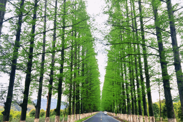 f4d3d0fc85f8279e08b784739b838475a1bd50fe632ae6c8bc