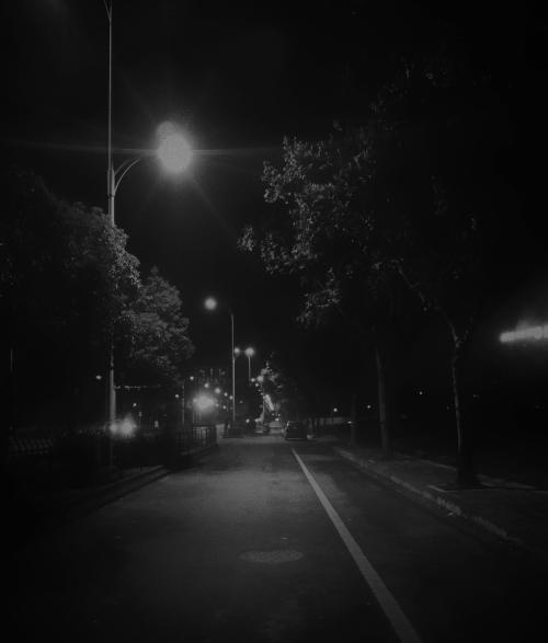 沉思在回望的路口