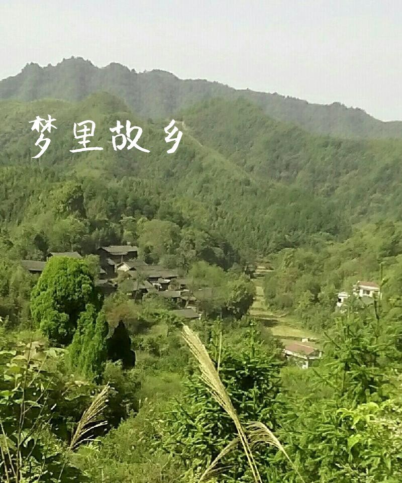 梦里故乡(原创)文/梦