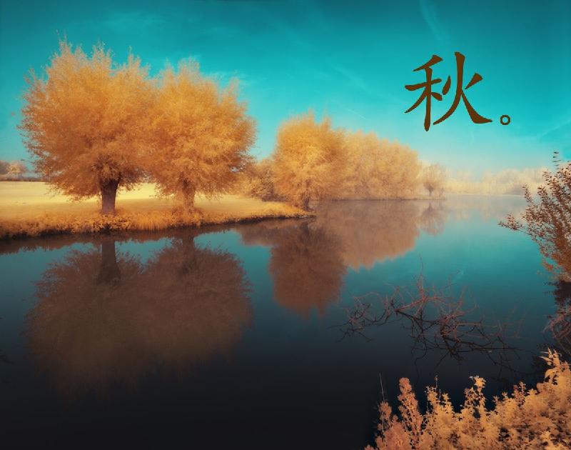 秋|文/郭文华|诵/红梅
