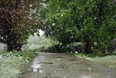 现在冬天下雨了!