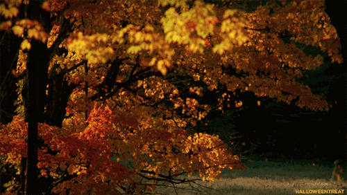 冬归晚霞安徽淮南