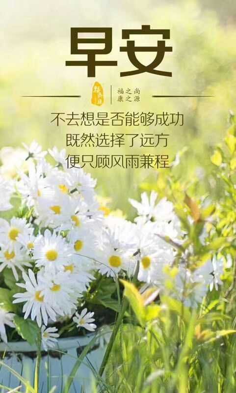 靠石坡先生《早安心语集锦(八)》 诵读 静若繁花(山西