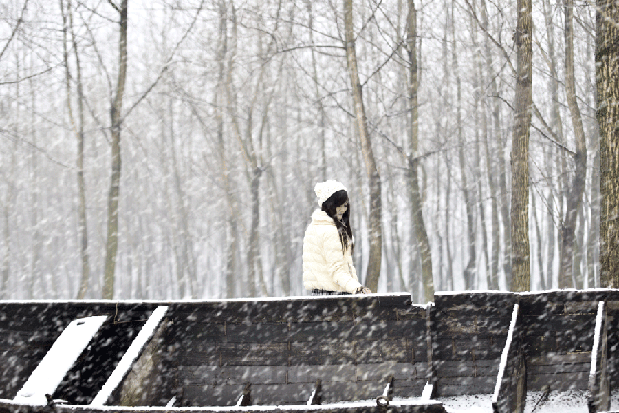 七律 春雪 文/蔡一敬(山东)