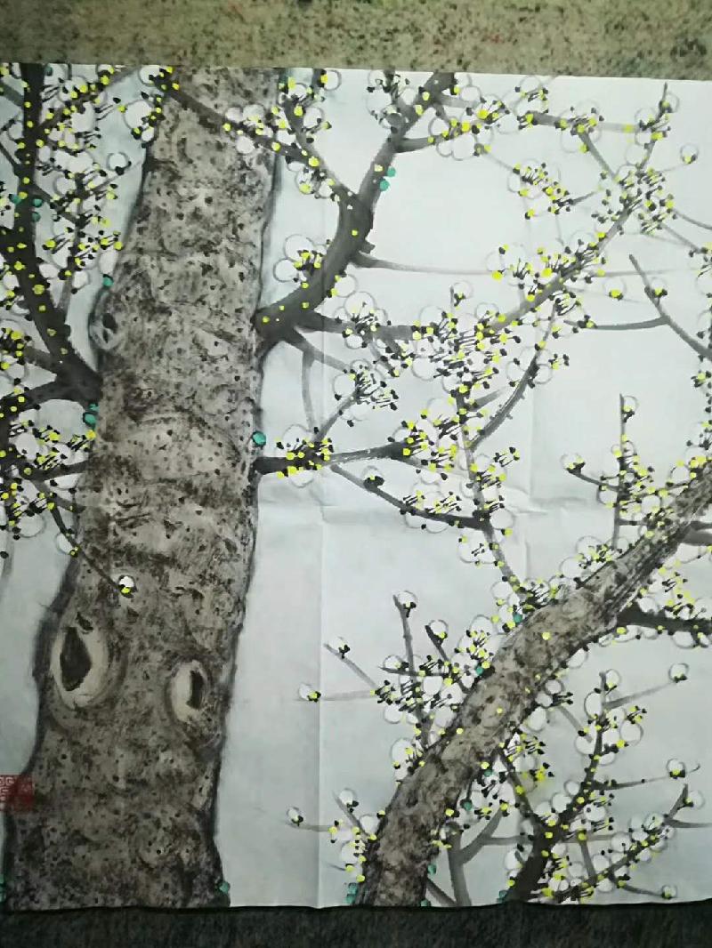 古风.咏国画大家周宇安老师号常乐居士岭南春花鸟系列