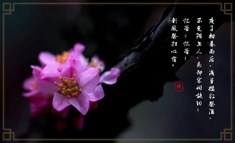 国家危难时挺身而出 我们行 大厦将倾,召必回,战必胜 我行 忍辱负重