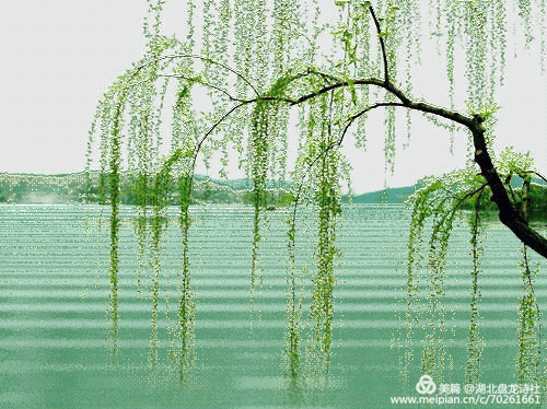 湖北盘龙诗社第76期【春念】