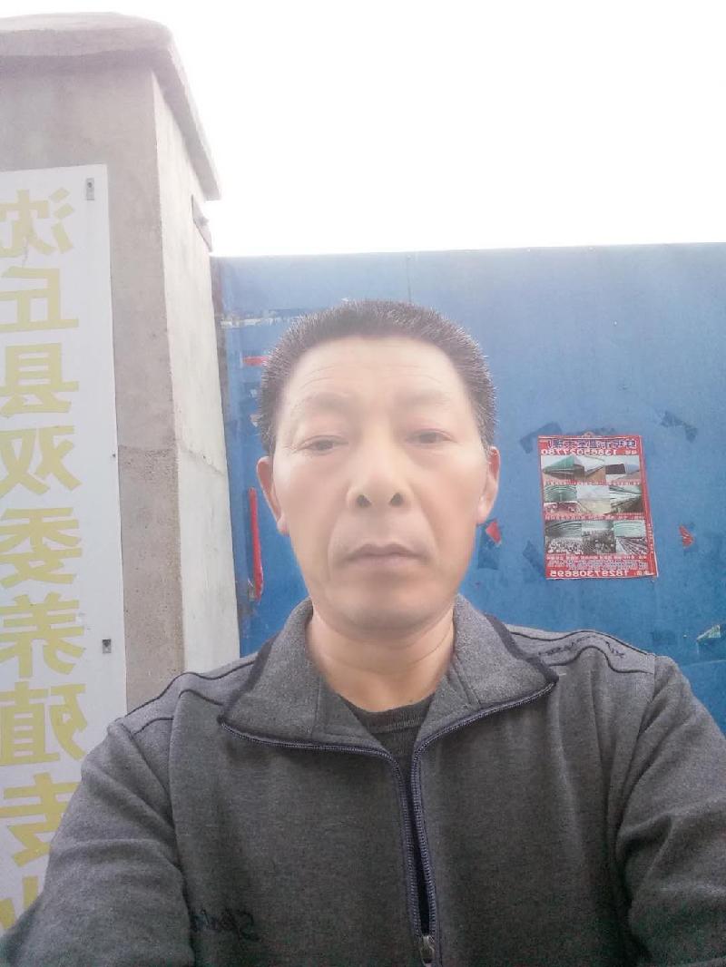 致富不忘村民——沈丘县李老庄乡酒店庄李刚领