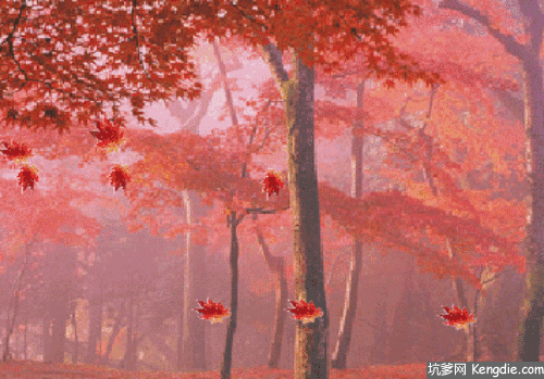 【古风】人生最美夕阳红 文ll春华秋实