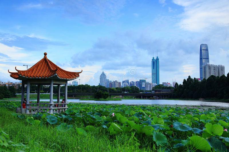 深圳-湖公园风景-75465654.