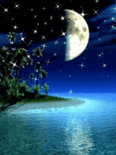 240_320 竖版 竖屏 gif 动态图 动图