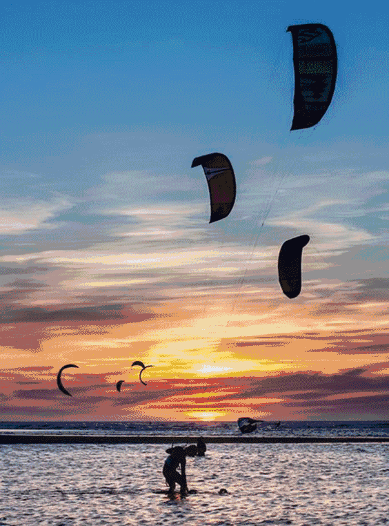 1bebedabd09a4a018726647c4af9959f_th.