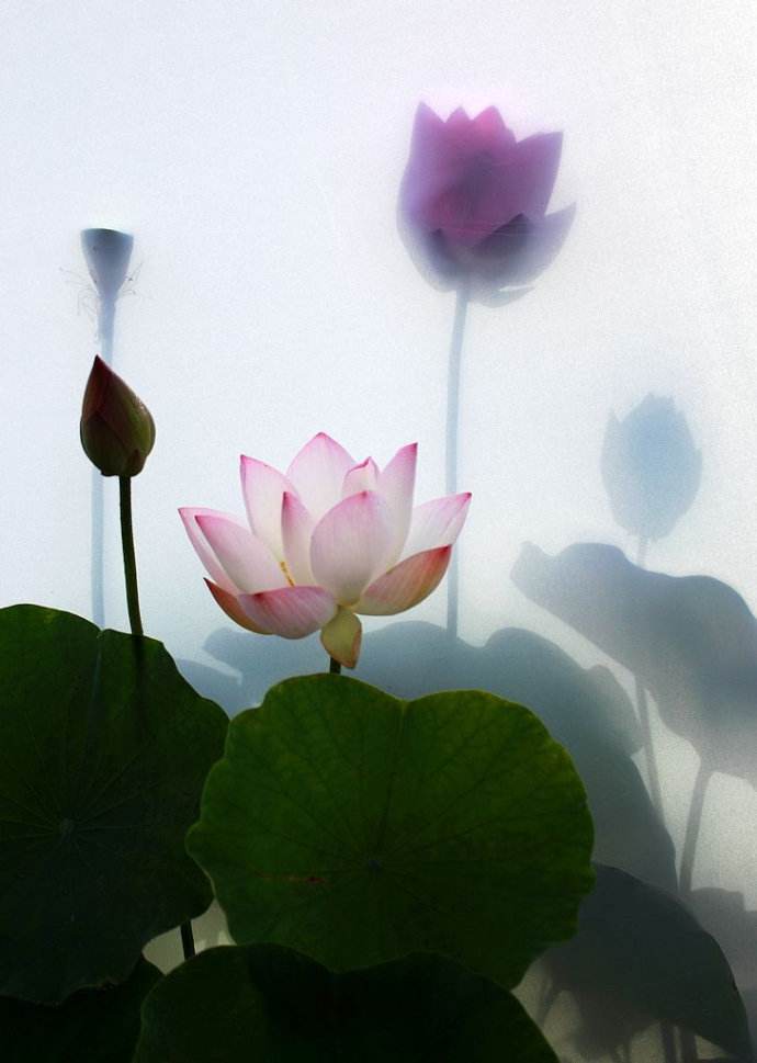 腊八早晨走山赖长虹吉林