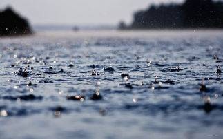 暴雨 作者雨轩——都市头条——西银头条