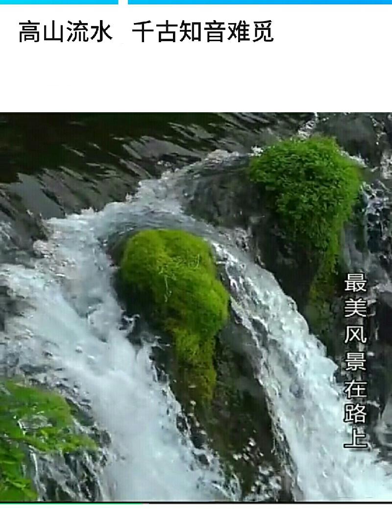 《高山流水 美不胜收》浙江☆赵锡洪
