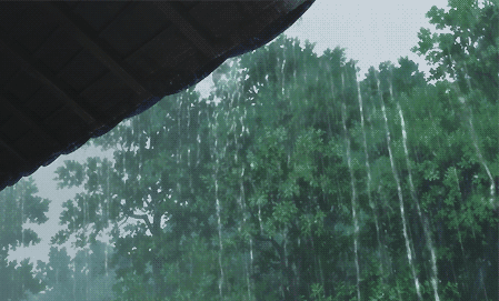 飘洒霏霏 清凉的风斜拥着雨 浇透了暑意 吹满了殇离 绿叶己不再纯粹