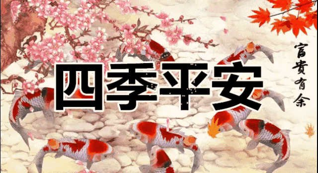 0dd445b8d2857e4366a7dcd458009d1e02f5adcb5534e5cac69dbb47a4