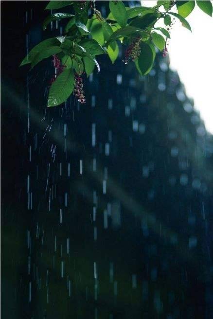 初秋小雨新絮‖文编/草根达人