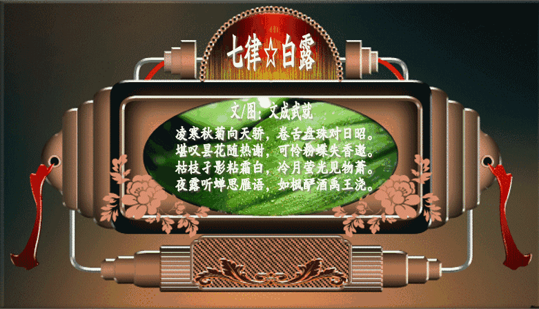 日中暑气犹蒸汗,夜里寒流劲袭堂. 月季艳开何惧冷,红枫俏挺正争强.
