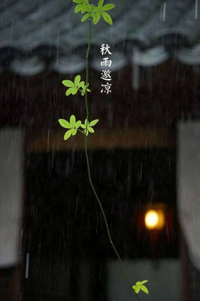 秋雨(押平水韵一东) 文/凤鸣梧桐诗词群诗友联诗