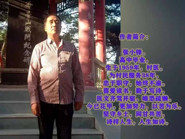 致书艺之人张为民 文/张小锋