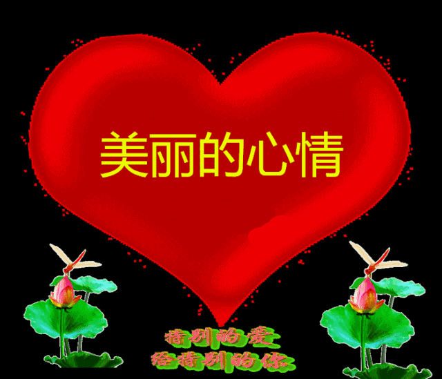 把祝福送给你问候送给思念的人