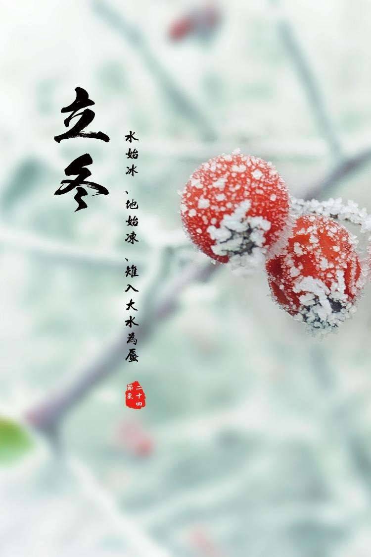 今日立冬-京津沪头条 文/家哥