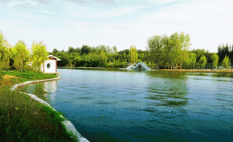 七律‖春之思 文/王政