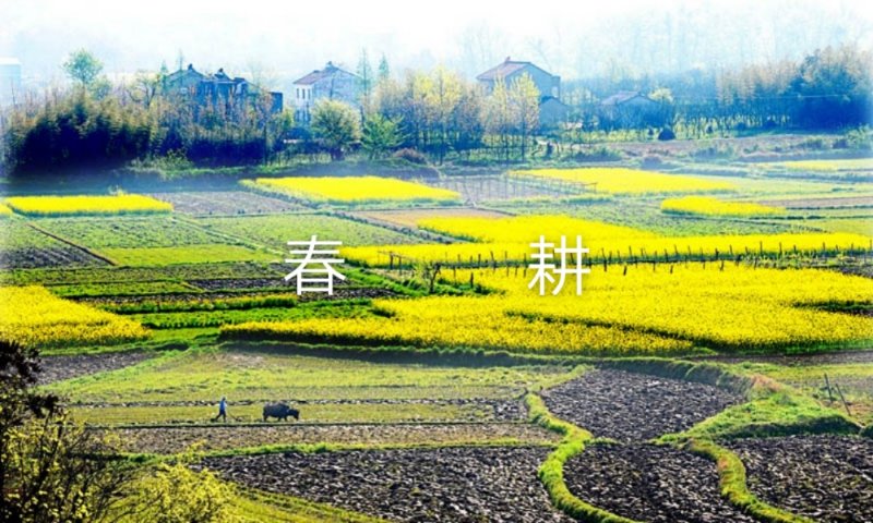 包美荣的《忆江南人勤春来早》