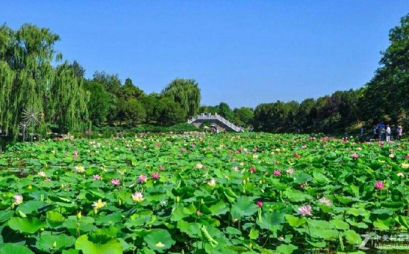 红墙半掩庄园树,白鹭临枝万壑塘. 身在瑶池仙境地,安平无意犯王章.