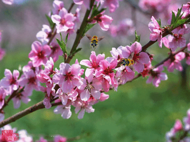【中外闻苑】词作家方晔老师新诗欣赏