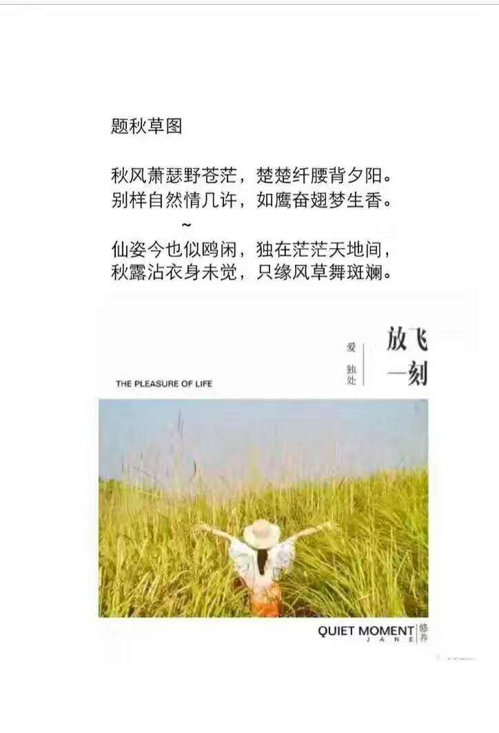 题秋草图