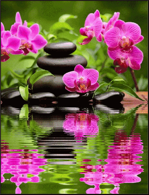 春天谣 文‖贡发芹