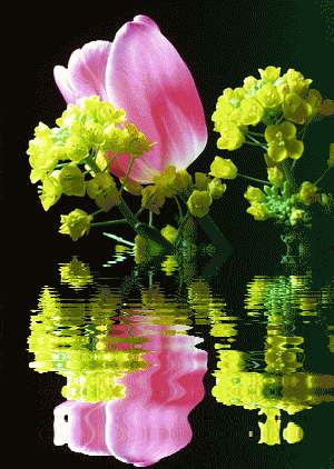 好雨贵, 万物喜惊雷. 冻笋复苏抽新芽, 寒鸟歌声脆.