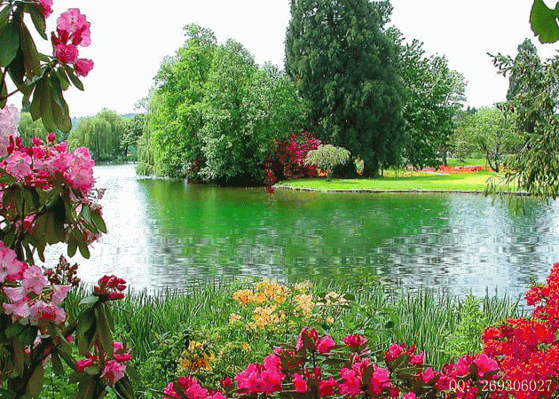 七绝二首 踏 春 文/窦宝森(内蒙)