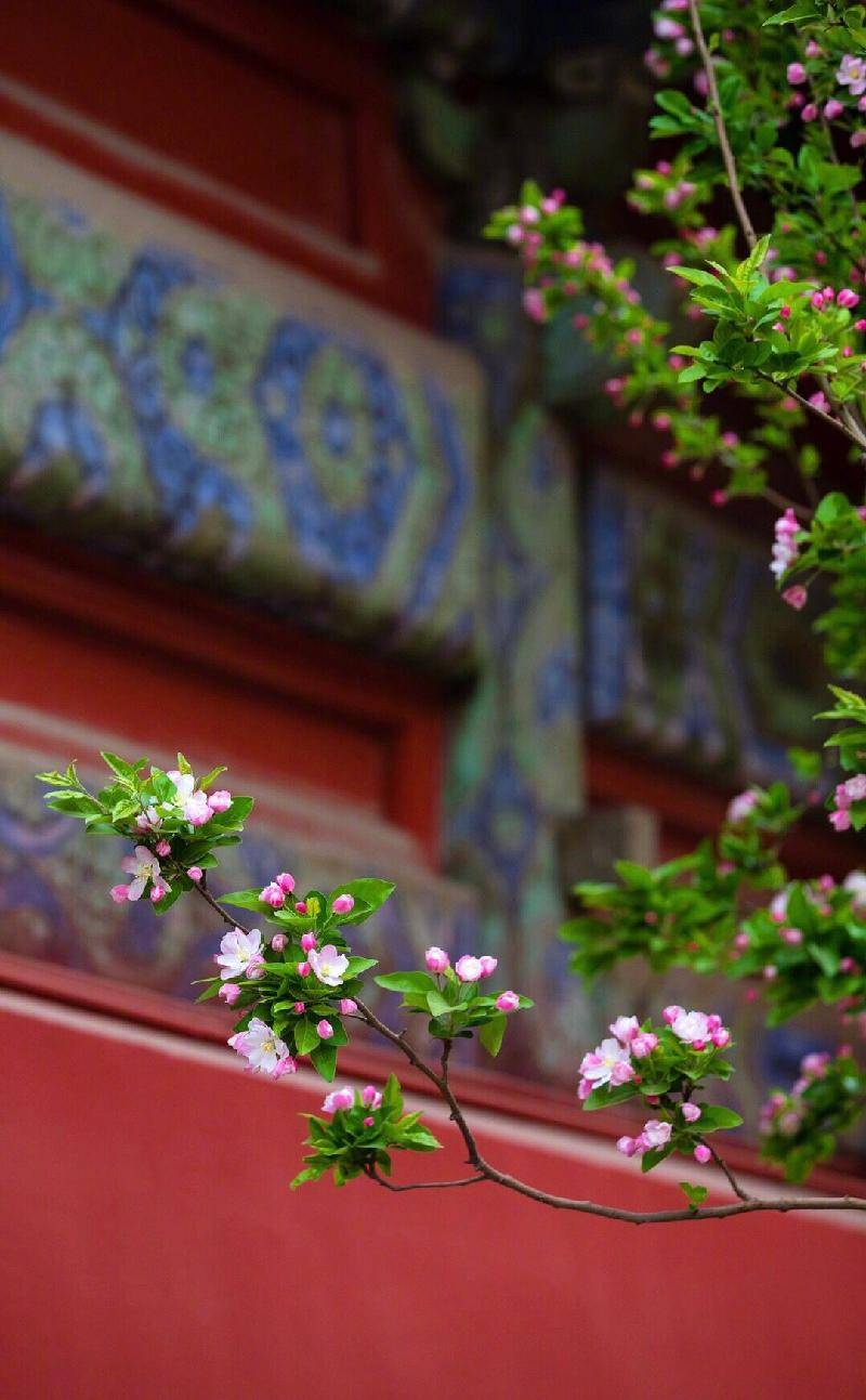 浣溪沙·游蕲水清泉寺