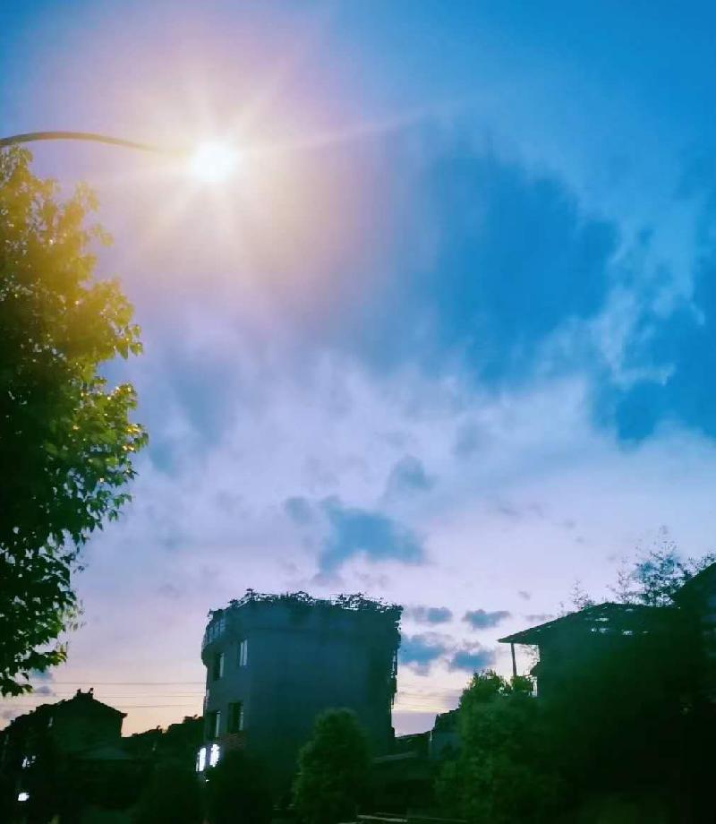 晨光妆扮着的天地 推开窗,送来夏日 一阵一阵清爽舒畅的风 好心情灿如