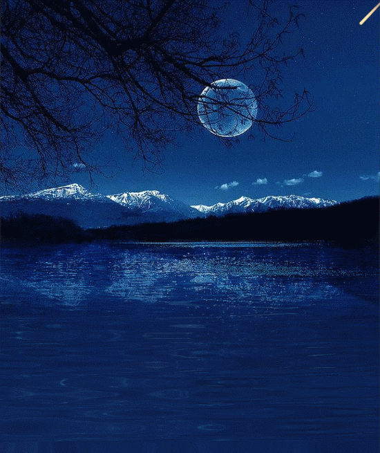 壁纸 桌面 550_655 gif 动态图 动图