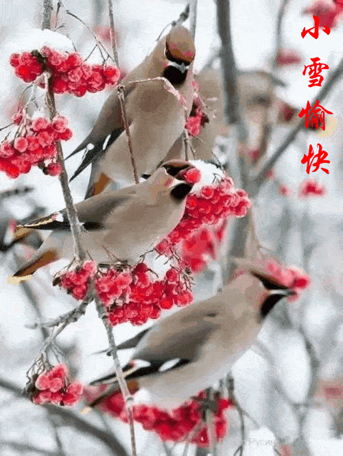 同头诗咏雪文Ⅱ平安是福